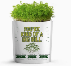 Gift a Green | Greeting Pouch
