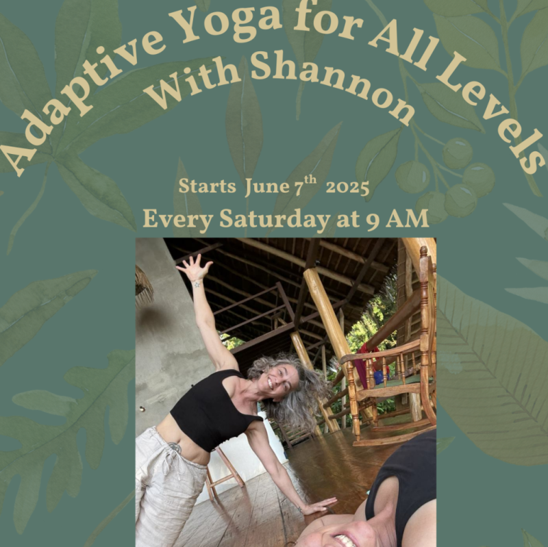 Adaptive Yoga for All Levels With Shannon