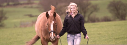 Equine Leadership Retreat