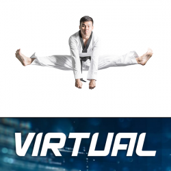 Virtual TKD Month to Month