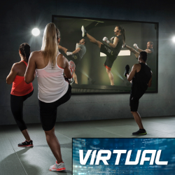 Virtual Cardio Kickboxing/Boot Camp Month to Month
