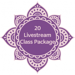 20 Livestream Class Package