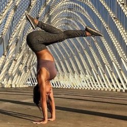Highway to Handstand Workshop