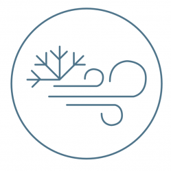 Cryo Chin Reduction - Add On