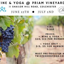 Wine & Yoga at the Vineyard: YOGA ONLY