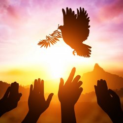 Good Vibrations Summer Series Try Me Quantum Healing