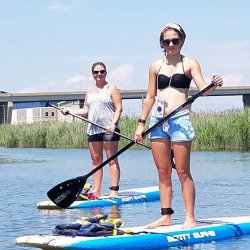 2 Paddleboard Rentals