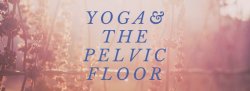 Yoga and the Pelvic Floor - A Workshop for Women with Leslie Howard