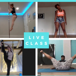 My Virtual Class