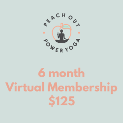 Virtual Class 6-Month Membership
