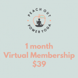 1-Month Virtual Membership