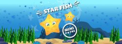 Mini - Star Fish