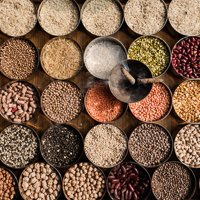 Ayurveda Workshop
