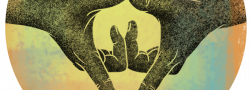 Yoga for Pelvic Floor and Reproductive Health