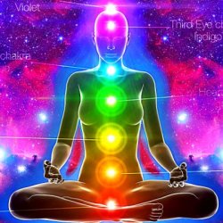 The 7 Chakras