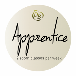 Apprentice Enrollment + Registration