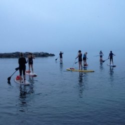 SUP Boarding - Social Paddle, 60min