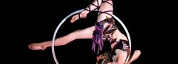 Adult Aerial Hoop Level 2 (Thursday Series)