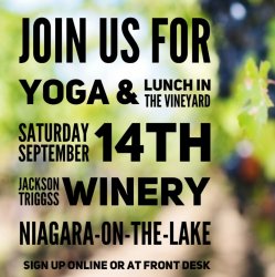 Yoga in the Vineyard