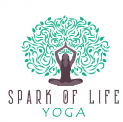Spark of Life Yoga Class Drop In Rate
