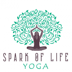 Spark of Life Yoga 5x Class Package $65 ($13 e)