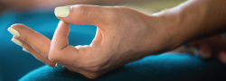 Mantras, Mudras, and Nyasa Foundations for Yoga Therapy (Zoom)