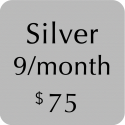 Silver Package
