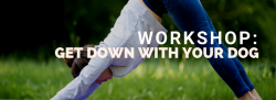Get Down With Your Dog