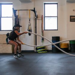 Signature Shape Single Class