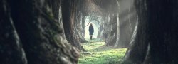 Journey Dance & Creative Exploration of the Spirit