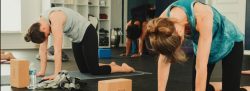 Serie de Yoga para Principiantes en Español
