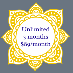 Unlimited Monthly Membership 3 Month Commitment