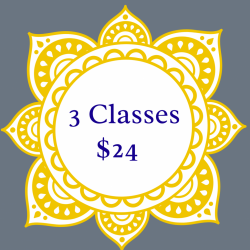 3 Classes for $24