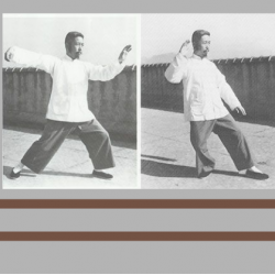 Tai Chi $9.00 Special