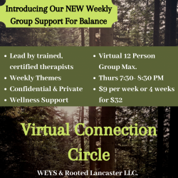 Virtual Connection Circle: Weekly Group Support for Balance