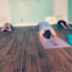 Private/Corporate Yoga Class