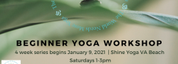 Beginner Workshop Series