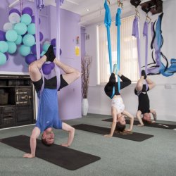 Aerial, Mat and Infinite Fusion Basic Membership
