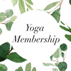 Yoga Membership- $50/month for 6 months