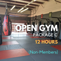 Open Gym Package C - 12 Visits