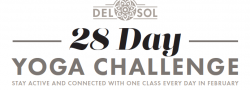 28 Day Yoga Challenge