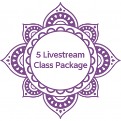 5 Livestream Class Package