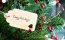 Gift Card Preview