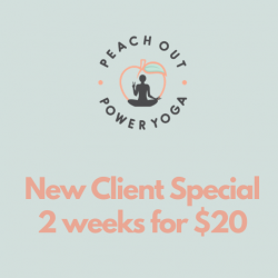 New Client Special - 2 weeks for $20