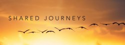 Shared Journeys — December