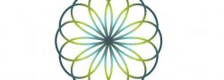 Yoga Anatomy & Physiology Teacher Training - RYS 300 or CEU's