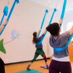 Yoga + Aerial Month Unlimited Class Card