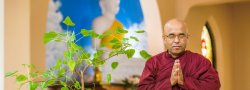 Healing Through Loving Kindness Practice with Bhante Sujatha