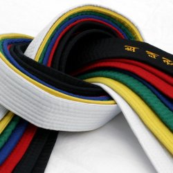 TKD Colored Belt Test