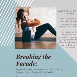 breaking the facade- Drop in